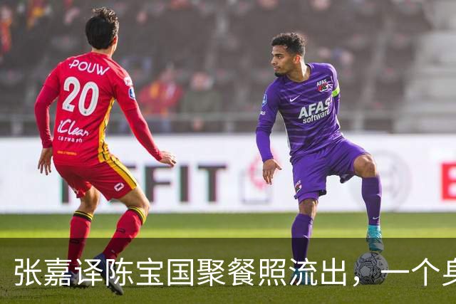 张嘉译陈宝国聚餐照流出，一个身材壮实，一个脸通红，李冉冉也在